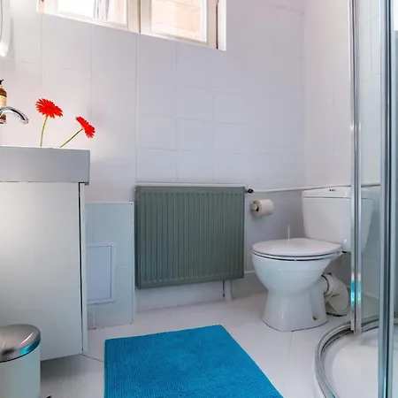 Rent Like Emilii Plater 25 *
